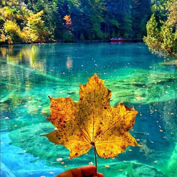 WELCOME to my closet. 💝 I Posh ambassador !!!💕💕 - Picture 6 of 7